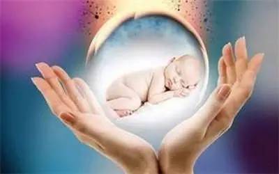 凍結胚移植